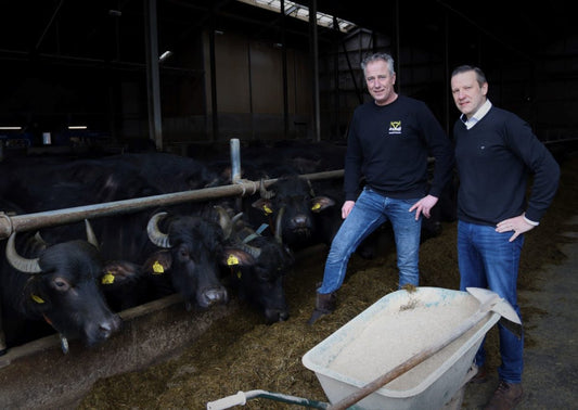 Mark van der Steen klankbord voor ondernemersgezin van Oirschot